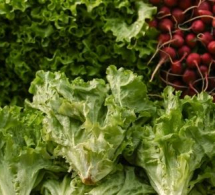 <i><b>Yerli bazarlarda kahı böhranı - <font color=red>ARAŞDIRMA</b></i></font>