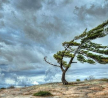 <i><b>Sabah güclü külək əsəcək - <font color=red>XƏBƏRDARLIQ</b></i></font>