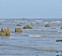 <i><b>Xəzərin suyu çəkildi, meşə qalıqları üzə çıxdı - <font color=red>VİDEO</b></i></font>